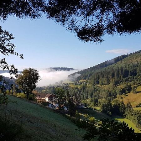 Ferienwohnung Tonbachtal Baiersbronn Eksteriør bilde