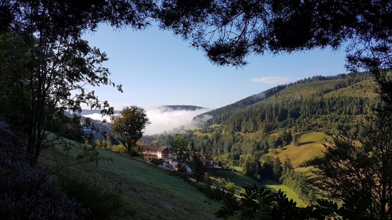 Ferienwohnung Tonbachtal Baiersbronn Eksteriør bilde