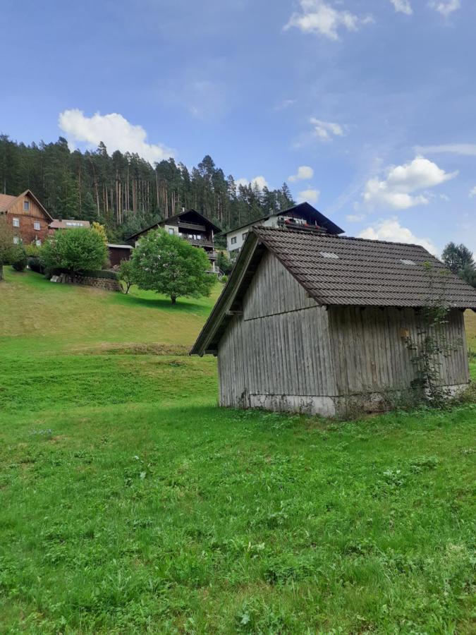 Ferienwohnung Tonbachtal Baiersbronn Eksteriør bilde